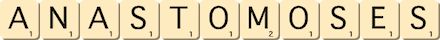 anastomoses