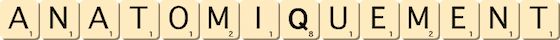 anatomiquement anatomiquement