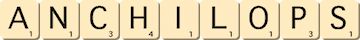anchilops anchilops