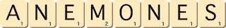 anemones anemones