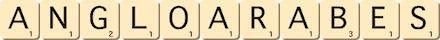 anglo-arabes anglo-arabes