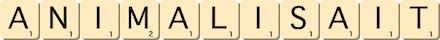 animalisait animalisait