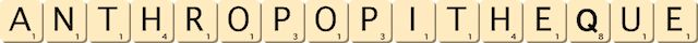 anthropopitheque anthropopitheque