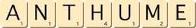 anthume anthume