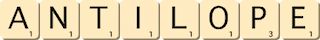 antilope antilope
