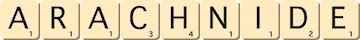 arachnide arachnide