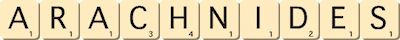 arachnides arachnides