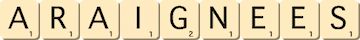 araignees araignees