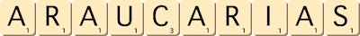 araucarias araucarias