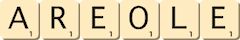 areole areole
