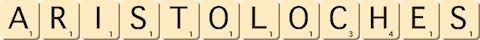 aristoloches aristoloches