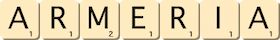 armeria armeria