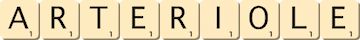 arteriole arteriole