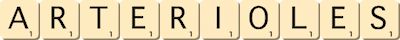arterioles arterioles