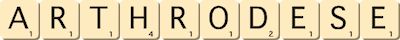 arthrodese arthrodese