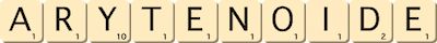 arytenoide
