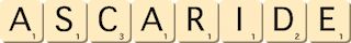 ascaride