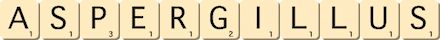 aspergillus aspergillus