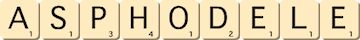 asphodele asphodele