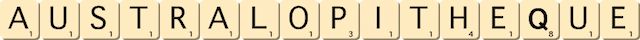 australopitheque australopitheque