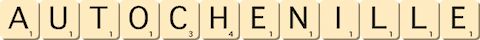 autochenille autochenille