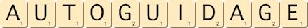 autoguidage autoguidage