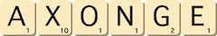 axonge