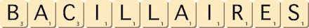 bacillaires bacillaires