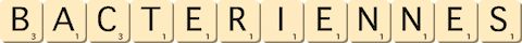 bacteriennes bacteriennes