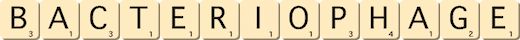 bacteriophage bacteriophage