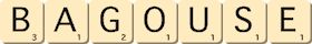 bagouse bagouse