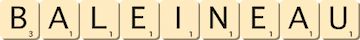 baleineau baleineau