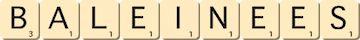 baleinees baleinees