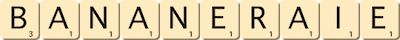 bananeraie bananeraie