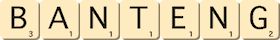 banteng
