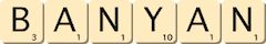 banyan