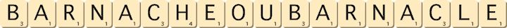 barnache-ou-barnacle