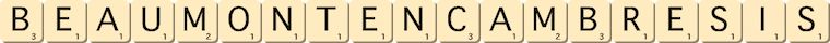 beaumont-en-cambresis