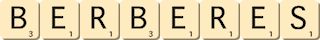 berberes berberes