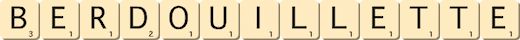 berdouillette berdouillette