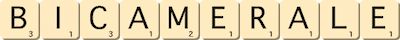bicamerale