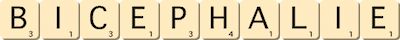 bicephalie bicephalie