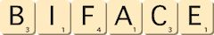 biface biface