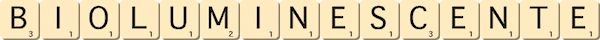 bioluminescente bioluminescente