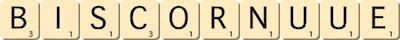 biscornu--ue