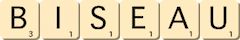 biseau
