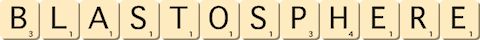 blastosphere