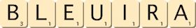 bleuira bleuira