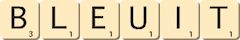 bleuit bleuit