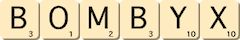 bombyx bombyx